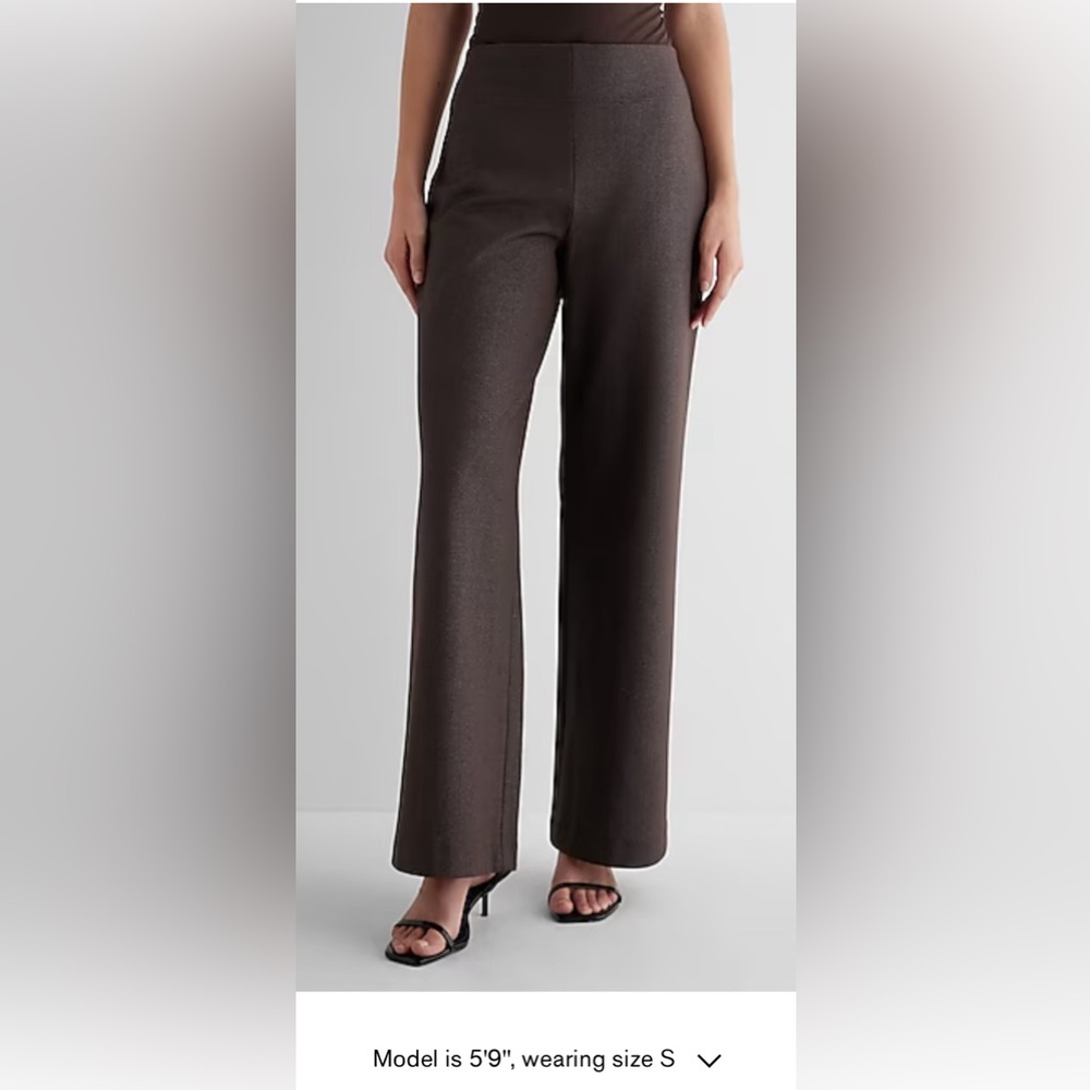 Express Wide Leg Pants in Dark Brown